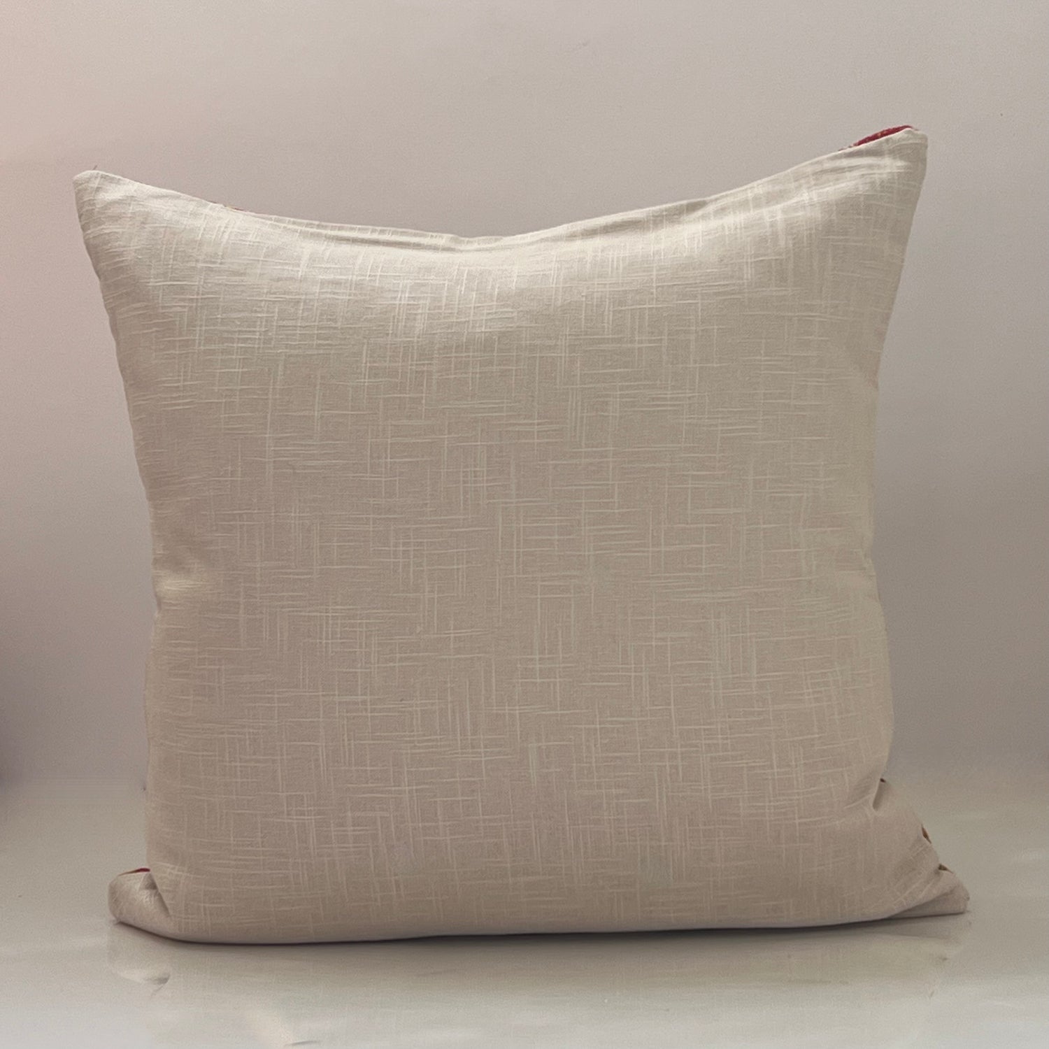 Blushed pink Throw Pillow Cover