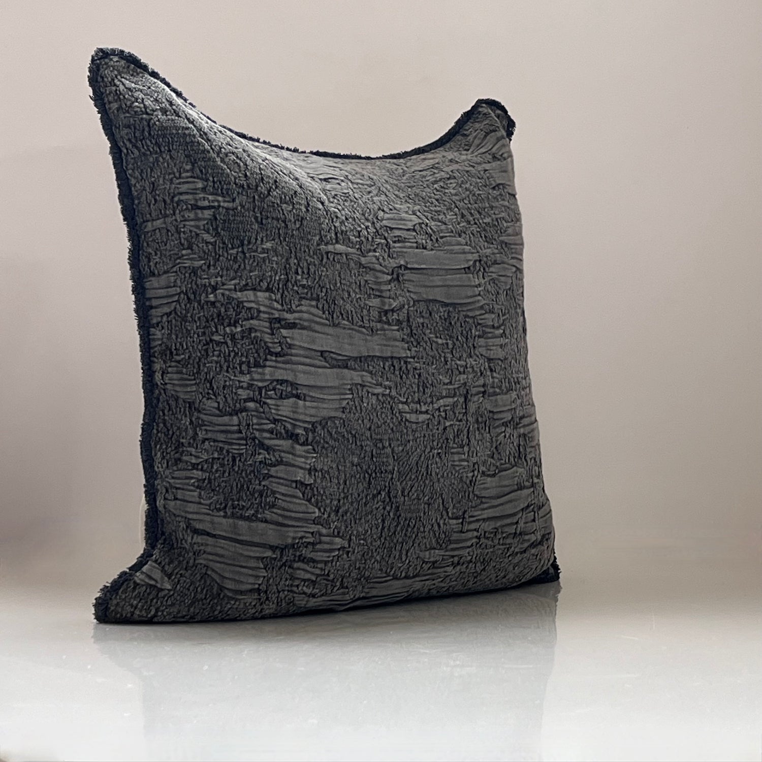 Cenecio Gray Throw Pillow Cover