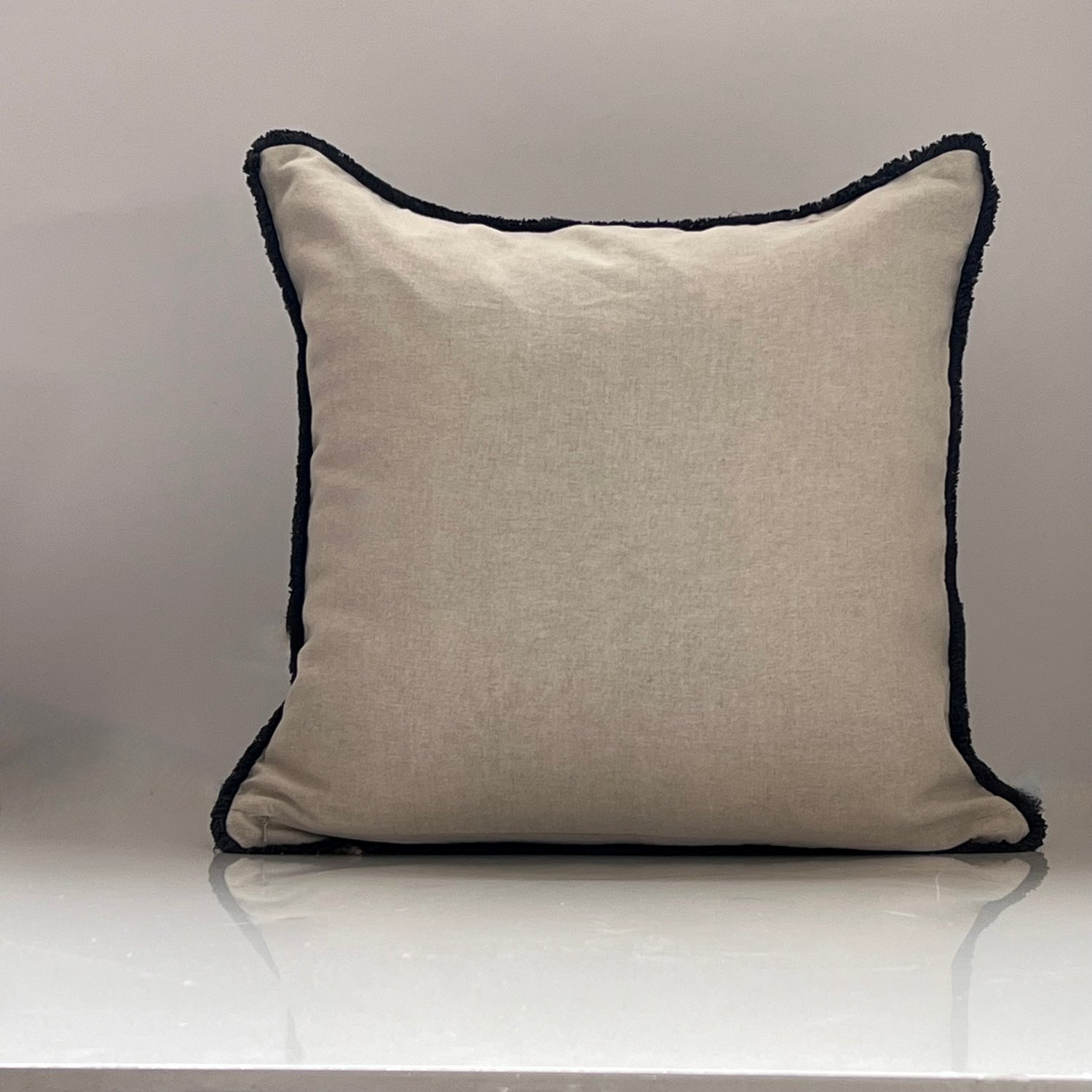 Cenecio Gray Throw Pillow Cover